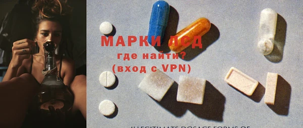 прущие грибы Вязьма