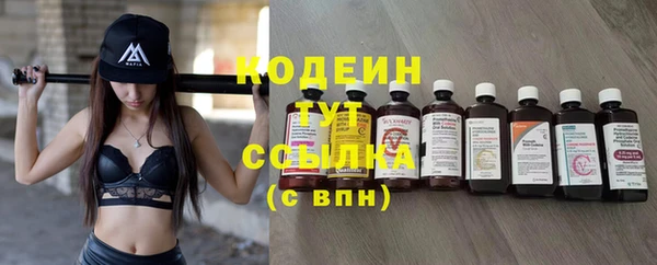 прущие грибы Вязьма