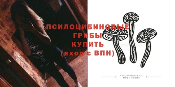 прущие грибы Вязьма