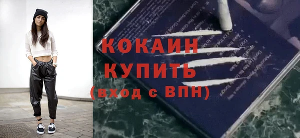 прущие грибы Вязьма