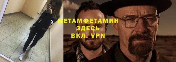 прущие грибы Вязьма