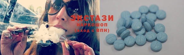 прущие грибы Вязьма