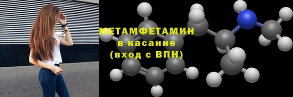 прущие грибы Вязьма