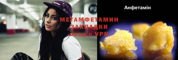 прущие грибы Вязьма