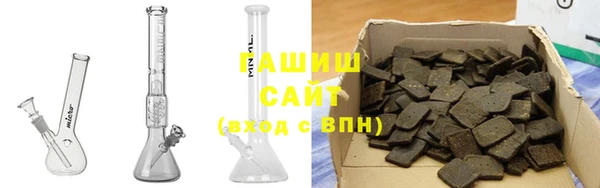 прущие грибы Вязьма