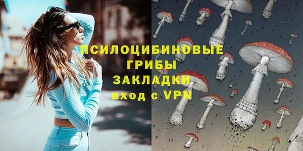 дживик Вяземский