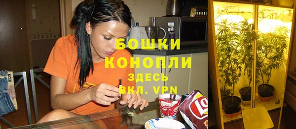 дживик Вяземский