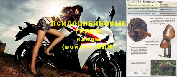 дживик Вяземский