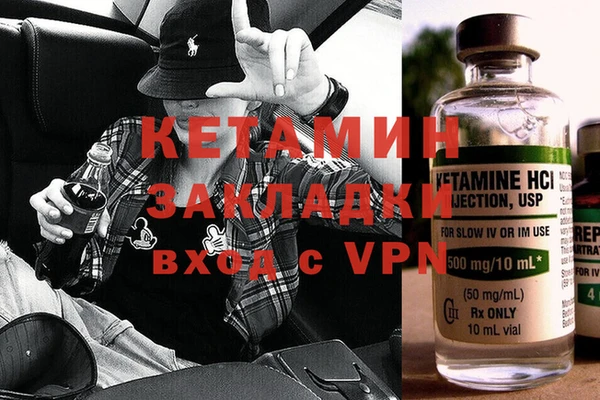 прущие грибы Вязьма