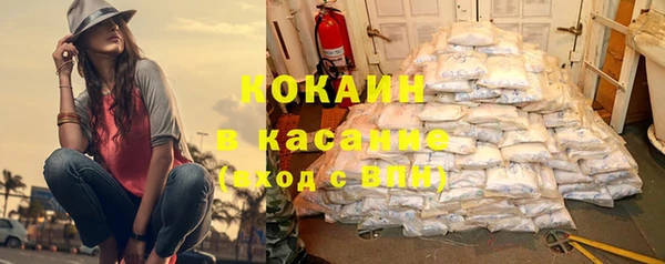 прущие грибы Вязьма