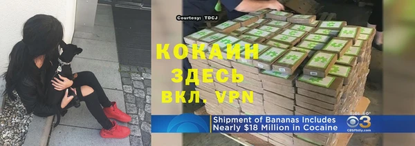прущие грибы Вязьма