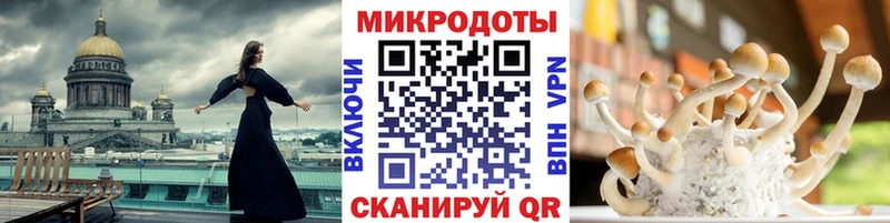 Купить  Лыткарино  Псилоцибиновые грибы MAGIC MUSHROOMS 