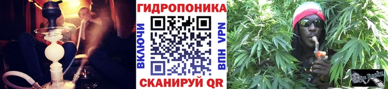 Купить закладки  Лыткарино  Бошки марихуана марихуана 